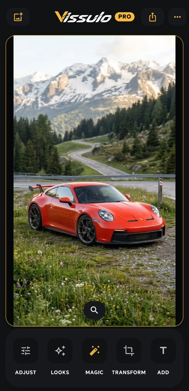 Vissulo editor showing Adjust, Looks, Magic, Transform and Add